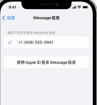 邛崃apple维修iPhone上无法正常发送iMessage信息