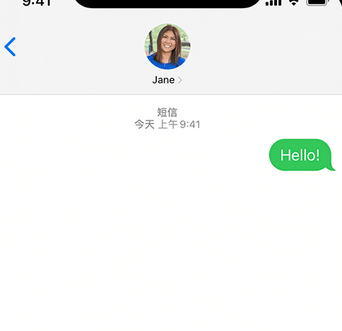 邛崃apple维修iPhone上无法正常发送iMessage信息