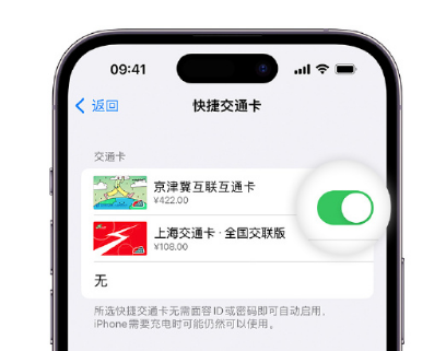 邛崃apple维修点分享iPhone上更换Apple Pay快捷交通卡手绘卡面 