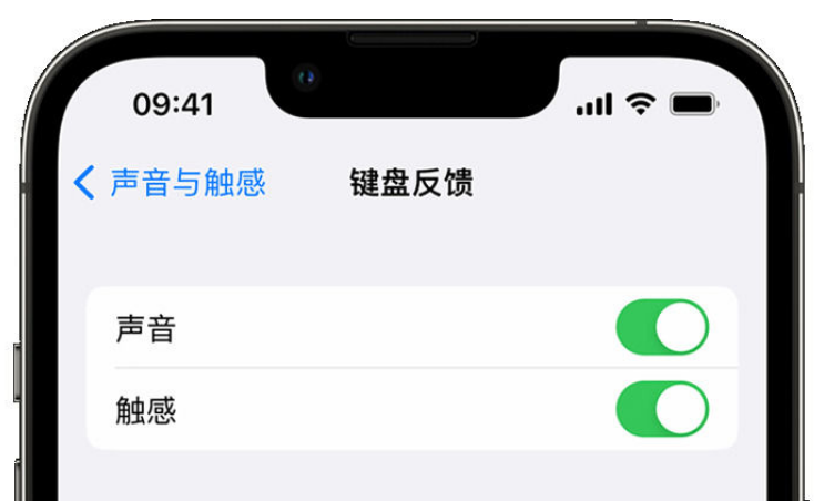 邛崃苹果手机维修分享iPhone 14触感键盘使用方法 