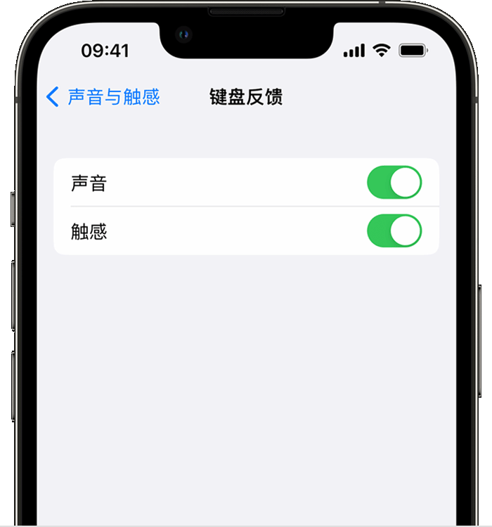 邛崃苹果14维修店分享如何在 iPhone 14 机型中使用触感键盘 