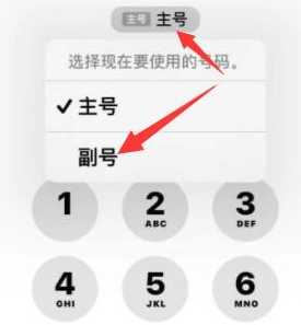 邛崃苹果14维修店分享iPhone 14 Pro Max使用副卡打电话的方法 