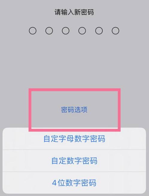 邛崃苹果14维修分享iPhone 14plus设置密码的方法 