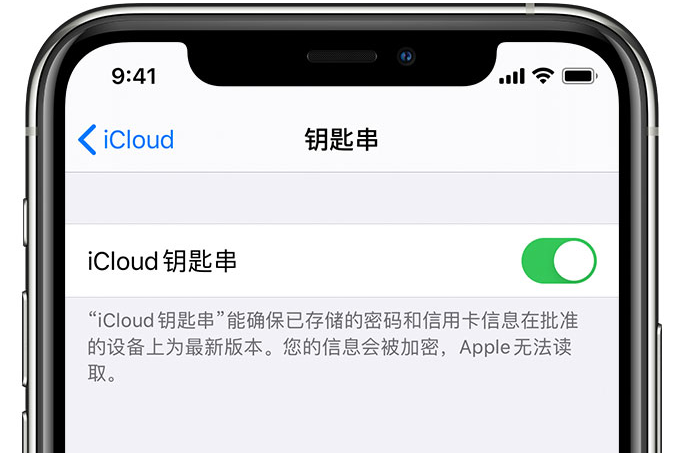 邛崃苹果手机维修分享在 iPhone 上开启 iCloud 钥匙串之后会储存哪些信息 