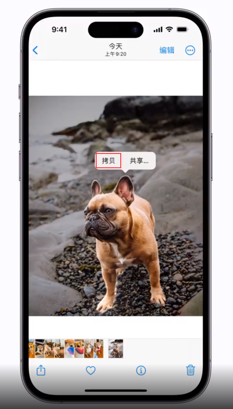 邛崃苹果手机维修分享 iOS 16 自带一键抠图功能 