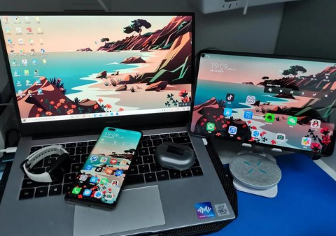 邛崃苹果手机维修分享为什么iPad屏幕更大价格却比iPhone低 