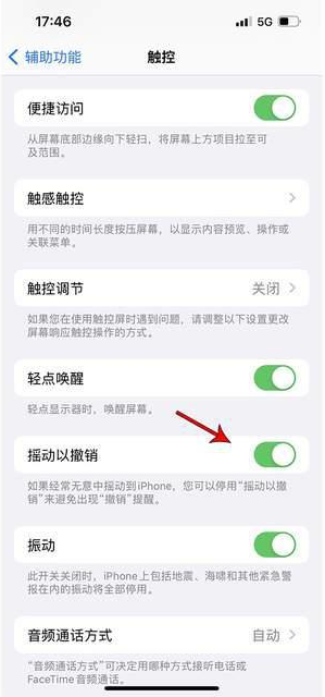 邛崃苹果手机维修分享iPhone手机如何设置摇一摇删除文字 