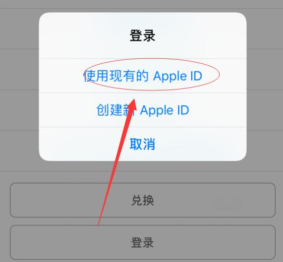 邛崃苹果手机维修分享两台iPhone设备可以同时登录一个Apple ID吗 