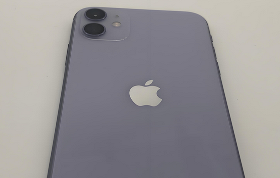 邛崃苹果11系统维修分享iPhone11手机系统崩溃无法开机如何解决 